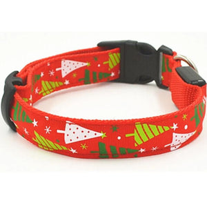 Christmas LED Pet Collars for dogs & cats available at allaboutpets.pk in pakistan