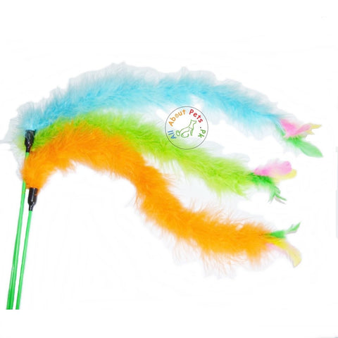 Image of Cat play sticks teaser toy with a feather in assorted colors available at allaboutpets.pk in Pakistan