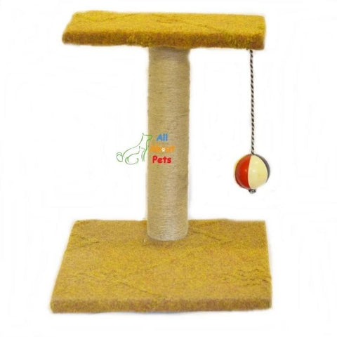 Image of Cat Scratch Post With Ball cat toy available online at allaboutpets.pk in pakistan.