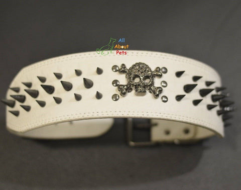 Image of 3 Inch Wide Spiked studded Dog Collar White, metal skull studded available at allaboutpets.pk in pakistan.