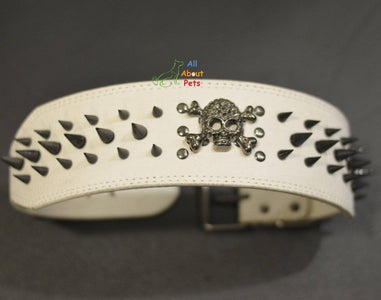 3 Inch Wide Spiked studded Dog Collar White, metal skull studded available at allaboutpets.pk in pakistan.