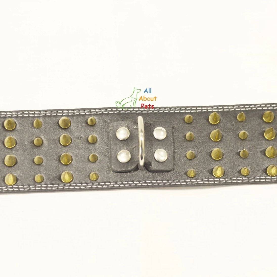 Dog Collar Spiked Black  with golden spikes available at allaboutpets.pk in pakistan.