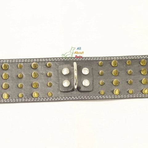 Image of Dog Collar Spiked Black  with golden spikes available at allaboutpets.pk in pakistan.