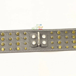 Dog Collar Spiked Black  with golden spikes available at allaboutpets.pk in pakistan.