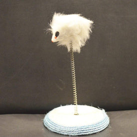 Cat Toy Fake Mouse on Spring Pole, cat play toy available at allaboutpets.pk in pakistan.