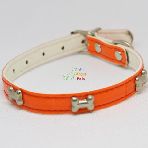 Image of bone shape Studded Reflective Collars for Small Dogs orange color available at allaboutpets.pk in pakistan.