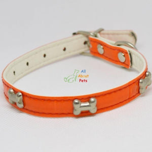 bone shape Studded Reflective Collars for Small Dogs orange color available at allaboutpets.pk in pakistan.