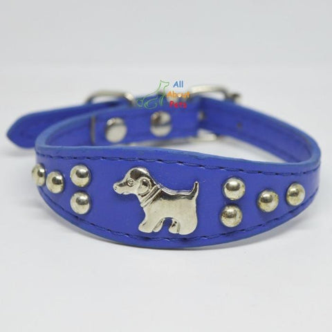 Image of Dog Shape Studded Leather Collars, puppy collar blue available at allaboutpets.pk in pakistan.