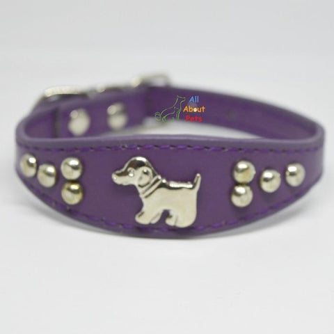 Image of Dog Shape Studded Leather Collars, puppy collar purple available at allaboutpets.pk in pakistan.