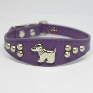 Dog Shape Studded Leather Collars, puppy collar purple available at allaboutpets.pk in pakistan.