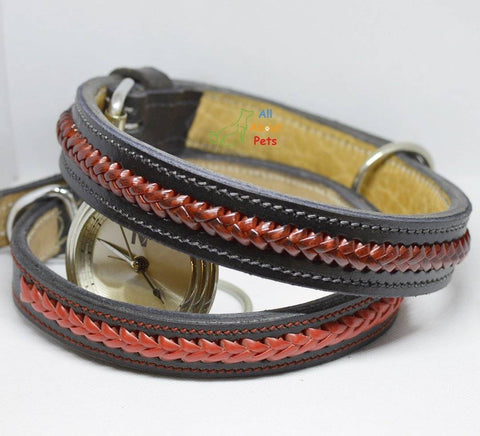 Image of Color Braided Genuine Leather Collar , red and black dog collar, stylish dog collar, designer dog collar available at allaboutpets.pk in pakistan.