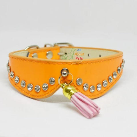 Image of dog collars with studded crystals and tassels orange color. available at allaboutpets.pk in pakistan