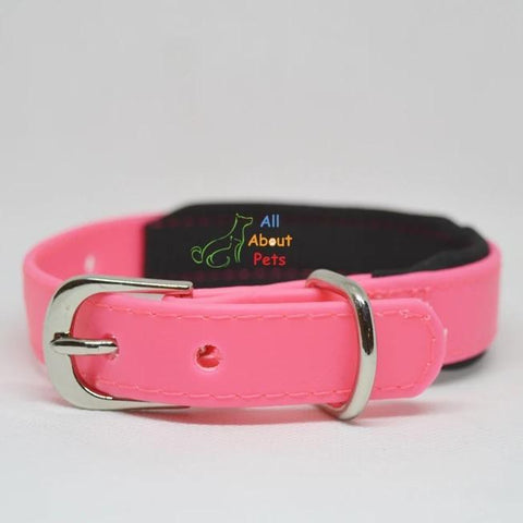 Image of Strong PU Collar in fluorescent pink color with soft padding  2cm x 40cm available at allaboutpets.pk in pakistan