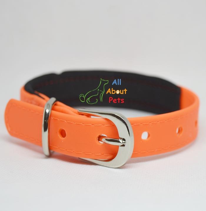 Strong PU Collar in fluorescent orange color with soft padding  2cm x 40cm available at allaboutpets.pk in pakistan