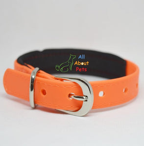 Strong PU Collar in fluorescent orange color with soft padding  2cm x 40cm available at allaboutpets.pk in pakistan