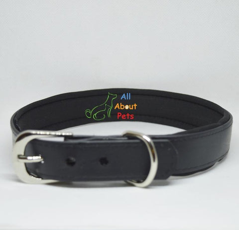 Image of  PU dog Collar black color with soft padding available online at allaboutpets.pk in pakistan