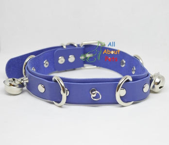 blue leather studded dog collar With Bells available at allaboutpets.pk in pakistan