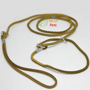 sleek Leather Show Leash For Toy Dog breeds, Pug Show Leash, Shihtzu Show leash available at allaboutpets.pk in pakistan