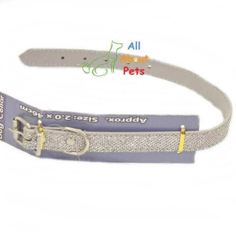 Image of Disco Glitter Dog Collar, fancy dog collar, silver dog collar available online at allaboutpets.pk in pakistan.