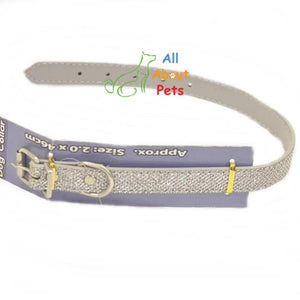 Disco Glitter Dog Collar, fancy dog collar, silver dog collar available online at allaboutpets.pk in pakistan.