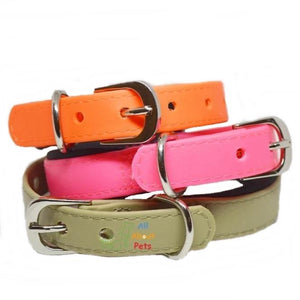 Strong PU Collar in fluorescent pink color, fluorescent orange color & beige color with soft padding available online at allaboutpets.pk in pakistan