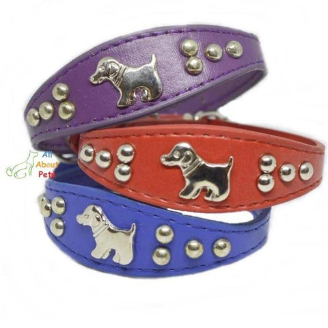 Image of Dog Shape Studded Leather Collars, puppy collar red, puppy collar blue, puppy collar purple available online at allaboutpets.pk in pakistan.