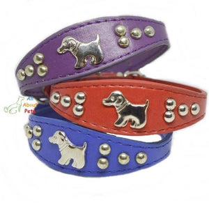 Dog Shape Studded Leather Collars, puppy collar red, puppy collar blue, puppy collar purple available online at allaboutpets.pk in pakistan.