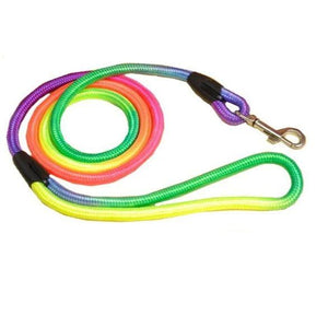 Rainbow nylon Dog Leash, 14mm thickness and 44 inches long available at allaboutpets.pk in pakistan