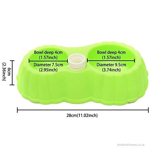 Pet Food & Water Dispenser for cats and dogs green color available at allaboutpets.pk in pakistan.