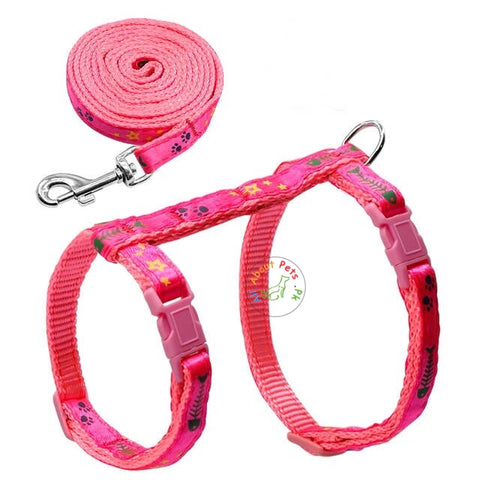 Image of Printed Adjustable Nylon Pet Cat Harness and Leash available at allaboutpets.pk in pakistan.