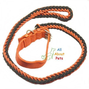 Nylon Dog Collar And Leash Set for dogs red & black available online at allaboutpets.pk in pakistan.