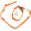 Nylon Lead & Collar For Dogs red color available online at allaboutpets.pk in pakistan.