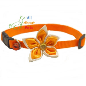 Orange Nylon Collar with Flower for Cats & Small Dogs available online at allaboutpets.pk in pakistan.