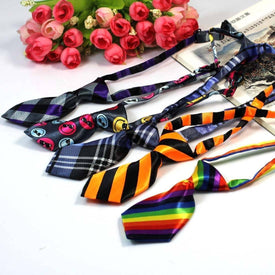 Pet Bow Tie Collar, Pet Neckties available at allaboutpets.pk in pakistan