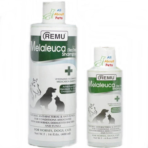Image of Remu Melaleuca (Tea Tree) Shampoo Dogs available online at allaboutpets.pk in pakistan.