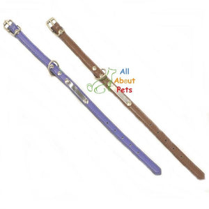 Sleek Leather Dog Collar for Small Dogs blue and brown color available at allaboutpets.pk in pakistan.