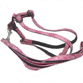 Smart Way Heart Print Harness & Leash For Small Dogs available at allaboutpets.pk in pakistan.