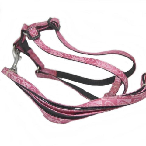 Image of Smart Way Heart Print Harness & Leash For Small Dogs available at allaboutpets.pk in pakistan.
