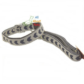 Smart way Padded nylon dog Collar & leash blue arrows available at allaboutpets.pk in pakistan.