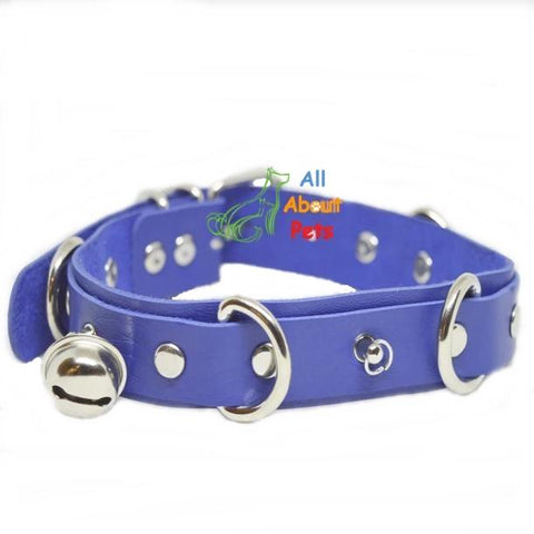Image of Studded Dog Leather Collar blue color With Bells available at allaboutpets.pk in pakistan