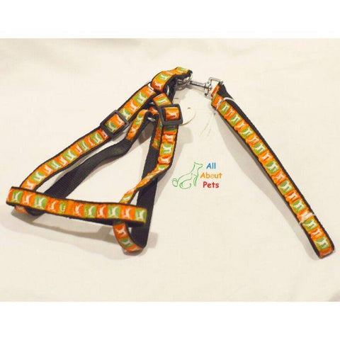 Image of Assorted Multi Colored Harness & Lead for dogs, animal prints available online at allaboutpets.pk in pakistan.