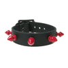 Spiked Collar Black With Red  Spikes available at allaboutpets.pk in pakistan 