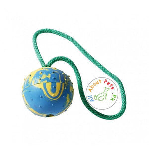 Dog Rope Teether Toy With Hard Rubber Ball & Bell available at allaboutpets.pk in Pakistan