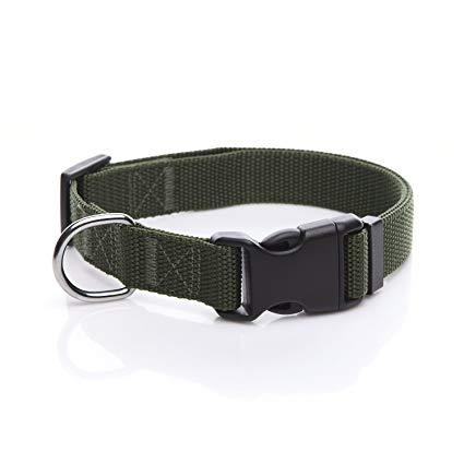 Image of Army Green dog Collar nylon adjustable. Fully adjustable, with a welded steel D-ring and heavy duty side release clasp. Adjusts from 14-24 inches. 1.25 inch width. 100% heavy duty nylon collar available at allaboutpets.pk in pakistan.