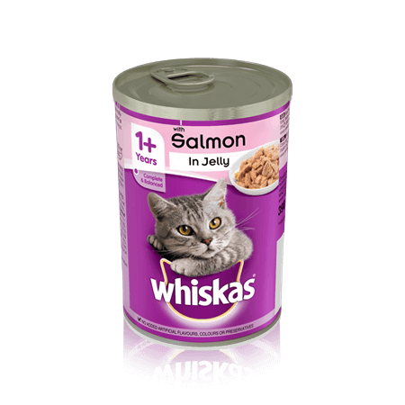 Whiskas Salmon in Jelly - 390g - AllAboutPetsPk