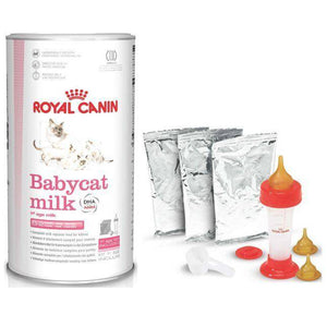 Royal Canin Baby Cat Milk, kitten replacement milk available at allaboutpets.pk in pakistan.