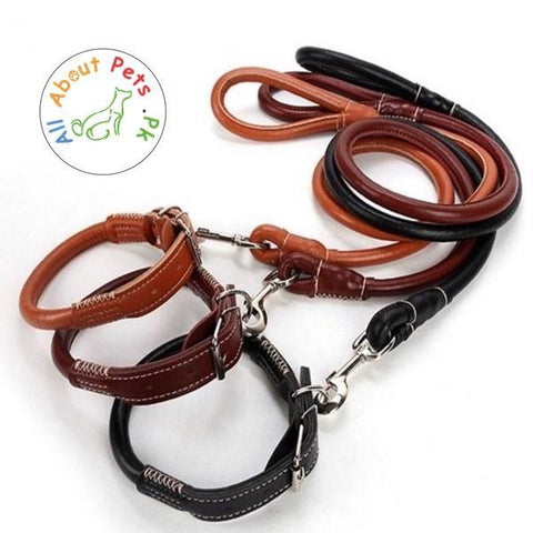 Image of Dog Leather Collar & Leash Round Dog Collar High Quality Sewing Strong Dog Leather Leash in multi color available at allaboutpets.pk in Pakistan
