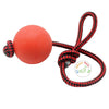 Solid Rubber Dog Chew Training Ball Toy With Rope Handle - AllAboutPetsPk