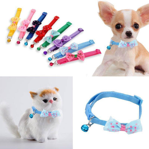 Image of Multi color collars with bow polka dots and bell for cats and small dogs, red, purple, baby blue, pink available at allaboutpets.pk in pakistan