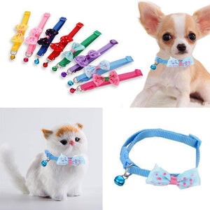 Multi color collars with bow polka dots and bell for cats and small dogs, red, purple, baby blue, pink available at allaboutpets.pk in pakistan